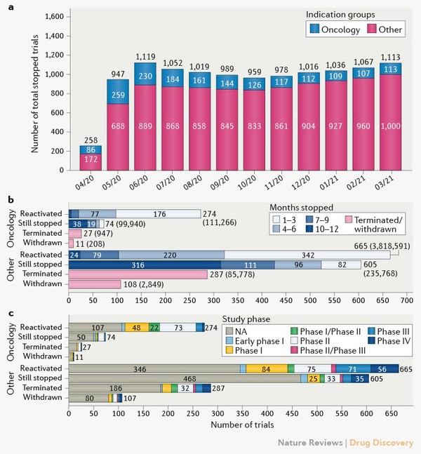 코로나19 영향으로 중단된 임상시험