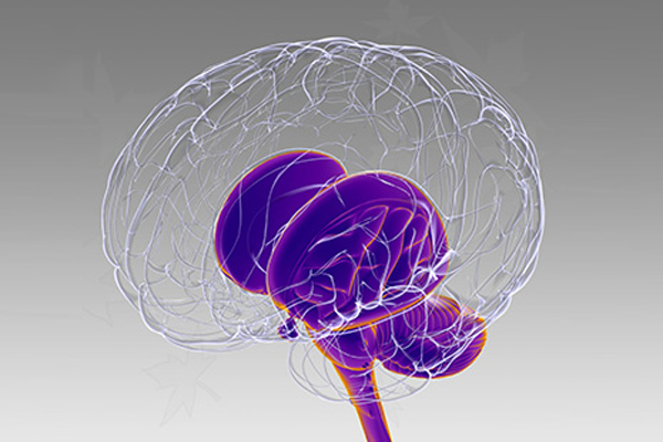                                                                                                               사진;에스바이오메딕스