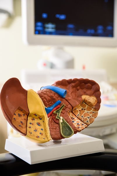                                                                     자료 : 서울대병원
