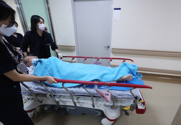 (사진=ⓒ뉴데일리)