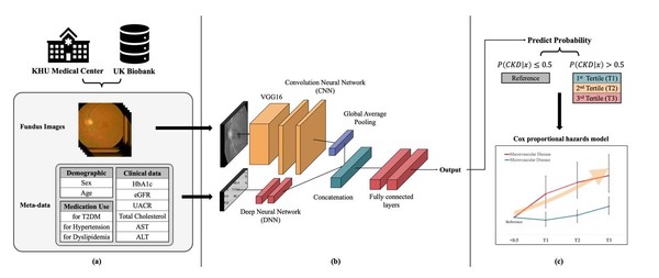 사진=망막 영상과 임상·인구학 정보 통합 기반 다중 모달 딥러닝 모델 구조 및 CKD 위험 예측 연구 개요. 