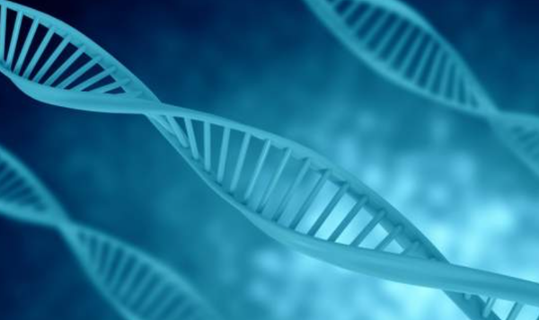 사진=메디팜스투데이 DB