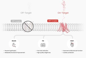 한미약품 비만신약, 美 FDA 임상 1상 승인…세계 첫 ‘근육 증가’